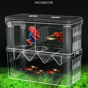 Clear acrylic aquarium fish breeding incubator box with double layers isolating pregnant guppy and newborn fry